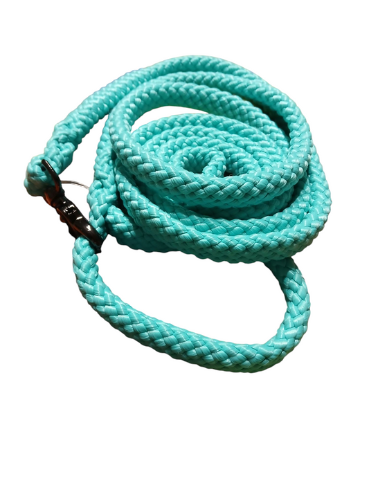 Einzelstück Hundeleine 12mm flach PPM Hohlgeflecht 2,50m lang