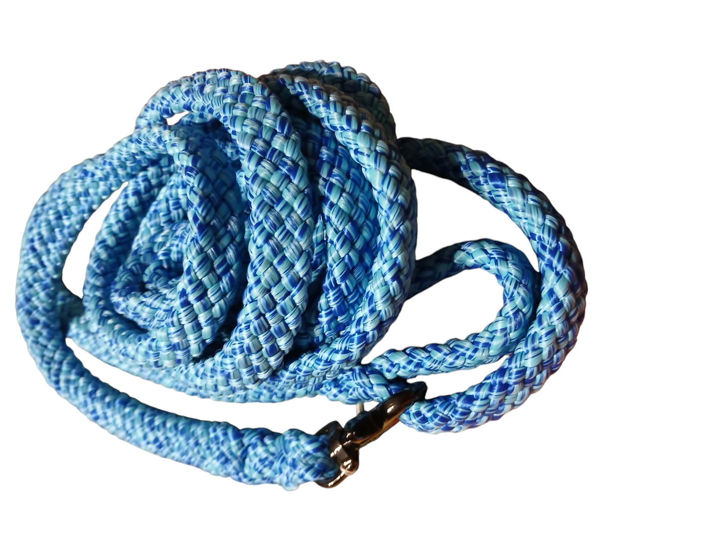 Einzelstück Hundeleine 12mm flach PPM Hohlgeflecht 3,50m lang