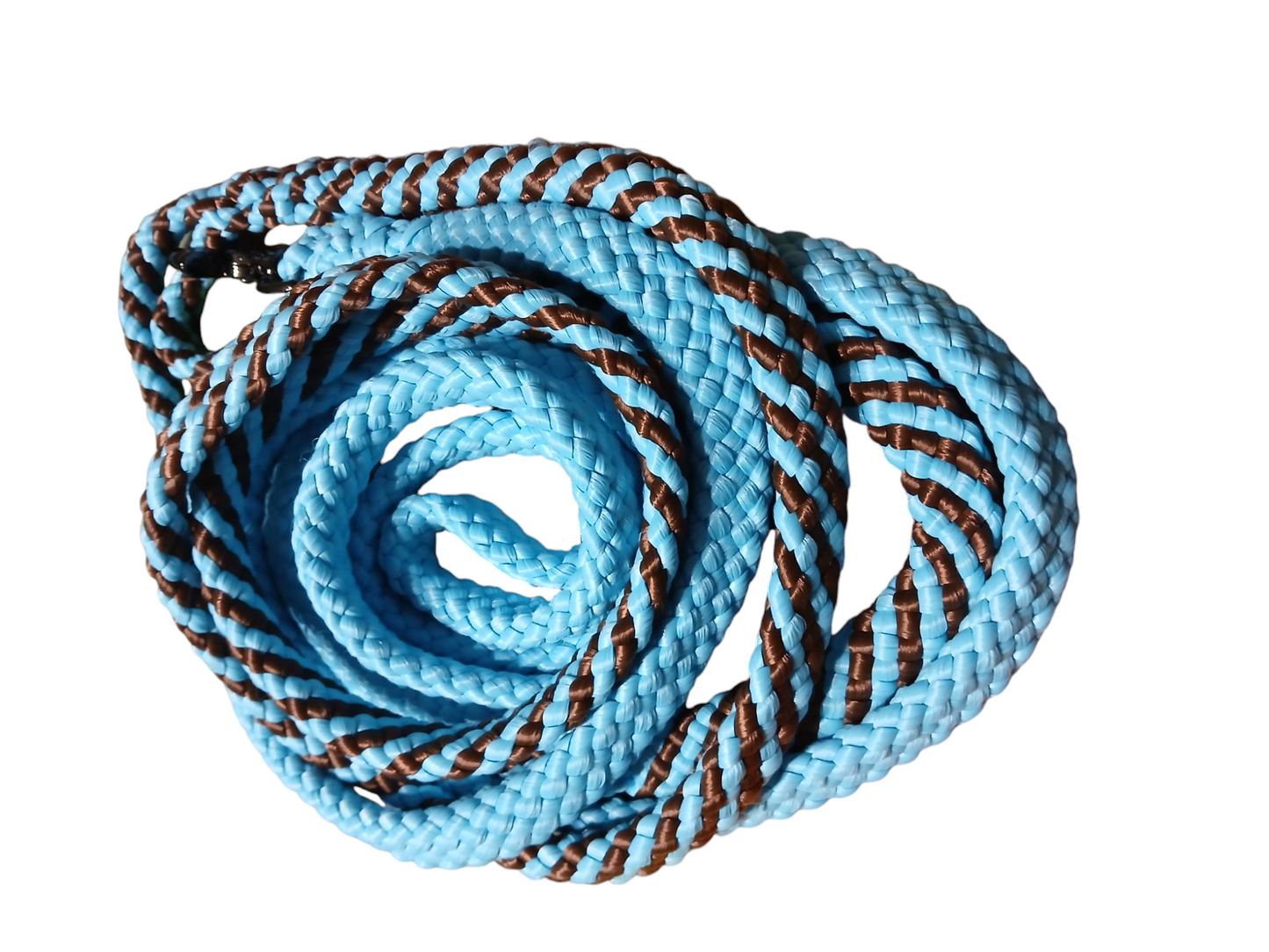 Einzelstück Hundeleine 12mm flach PPM Hohlgeflecht 3,80m lang 2 farbig