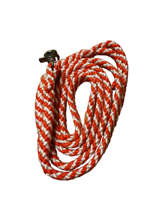 Hundeleine 12mm flach PPM Hohlgeflecht