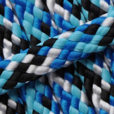 Einzelstück Hundeleine 8mm flach PPM Hohlgeflecht 7,30m lang