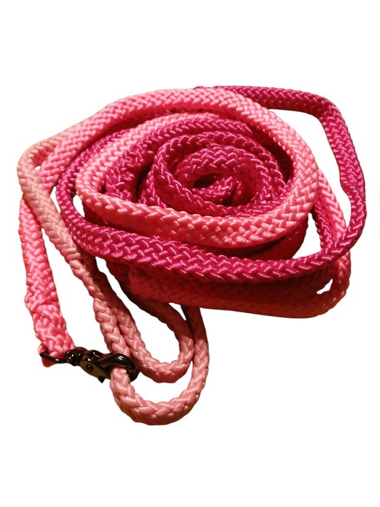 Einzelstück Hundeleine 12mm flach PPM Hohlgeflecht 6,00m lang 3 farbig