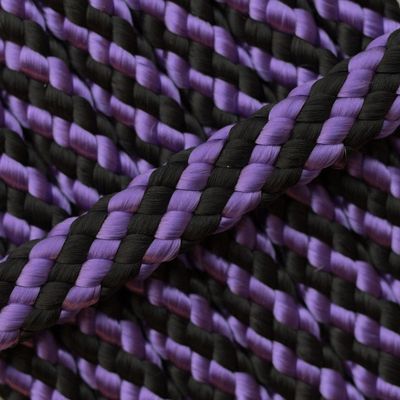 Einzelstück Hundeleine 8mm flach PPM Hohlgeflecht 2,70m lang